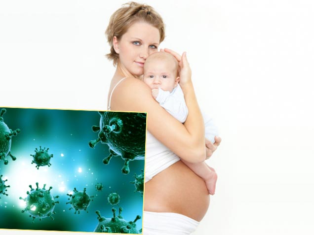 Вирусы, беременность и лактация